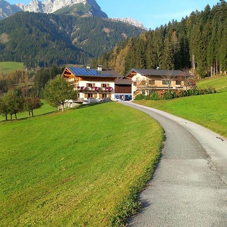 Frische Bergluft Und Laendlicher Charme - Ihr Aktiver Urlaub Am Muehlauhof Mühlbach am Hochkönig Екстериор снимка