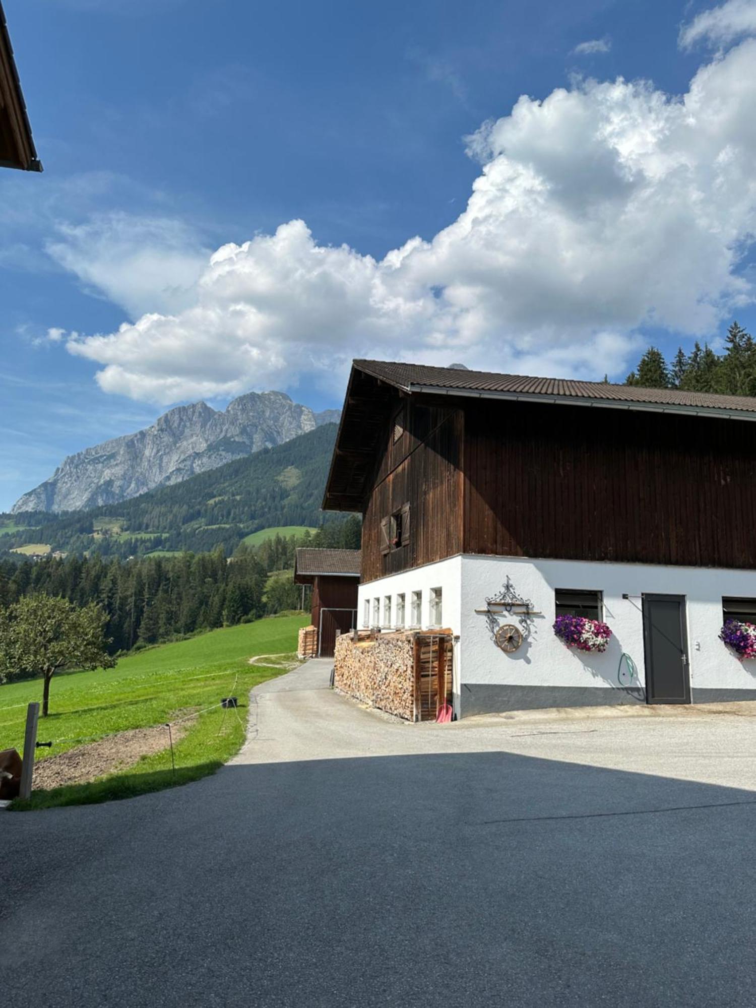 Frische Bergluft Und Laendlicher Charme - Ihr Aktiver Urlaub Am Muehlauhof Mühlbach am Hochkönig Екстериор снимка
