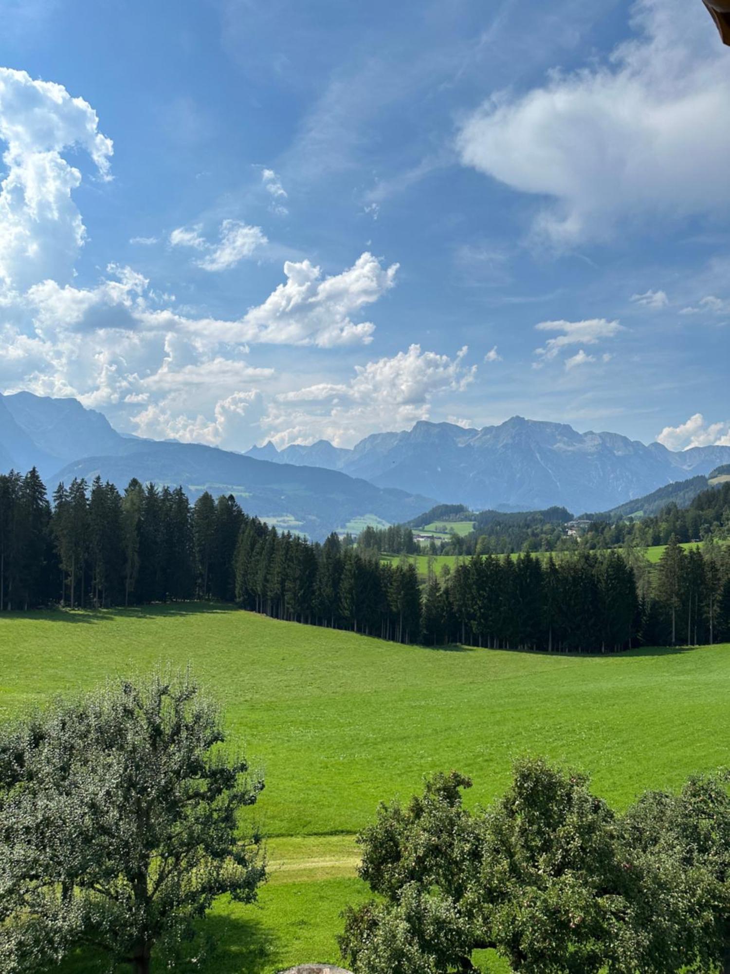 Frische Bergluft Und Laendlicher Charme - Ihr Aktiver Urlaub Am Muehlauhof Mühlbach am Hochkönig Екстериор снимка