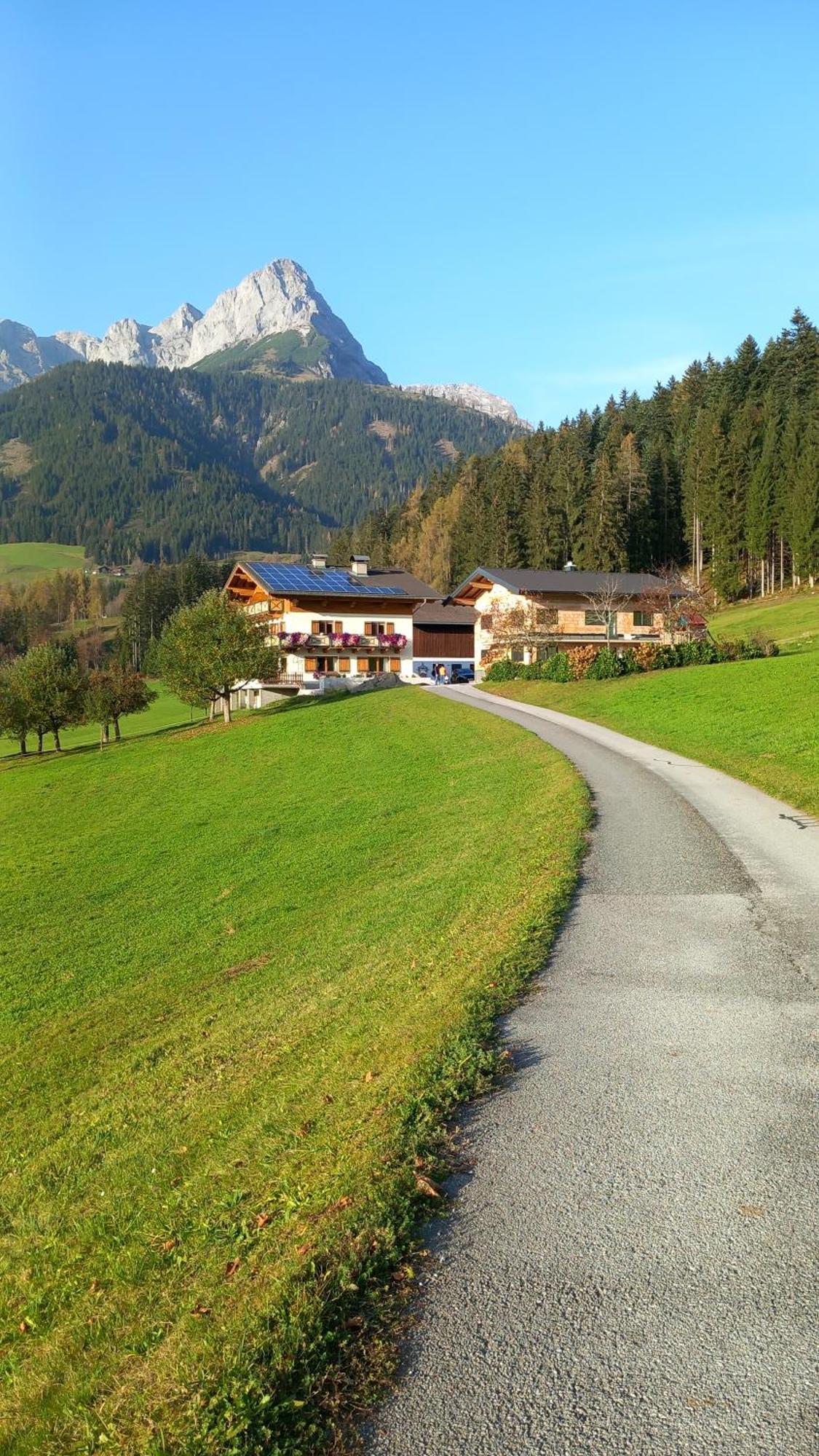 Frische Bergluft Und Laendlicher Charme - Ihr Aktiver Urlaub Am Muehlauhof Mühlbach am Hochkönig Екстериор снимка